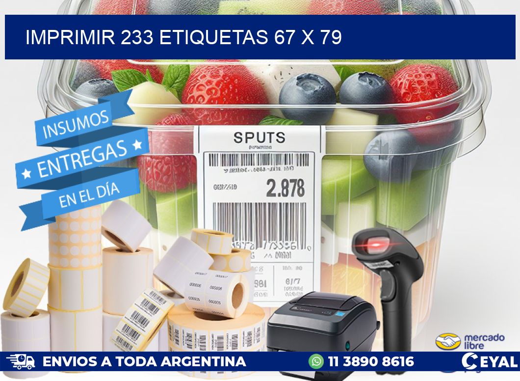 IMPRIMIR 233 ETIQUETAS 67 x 79