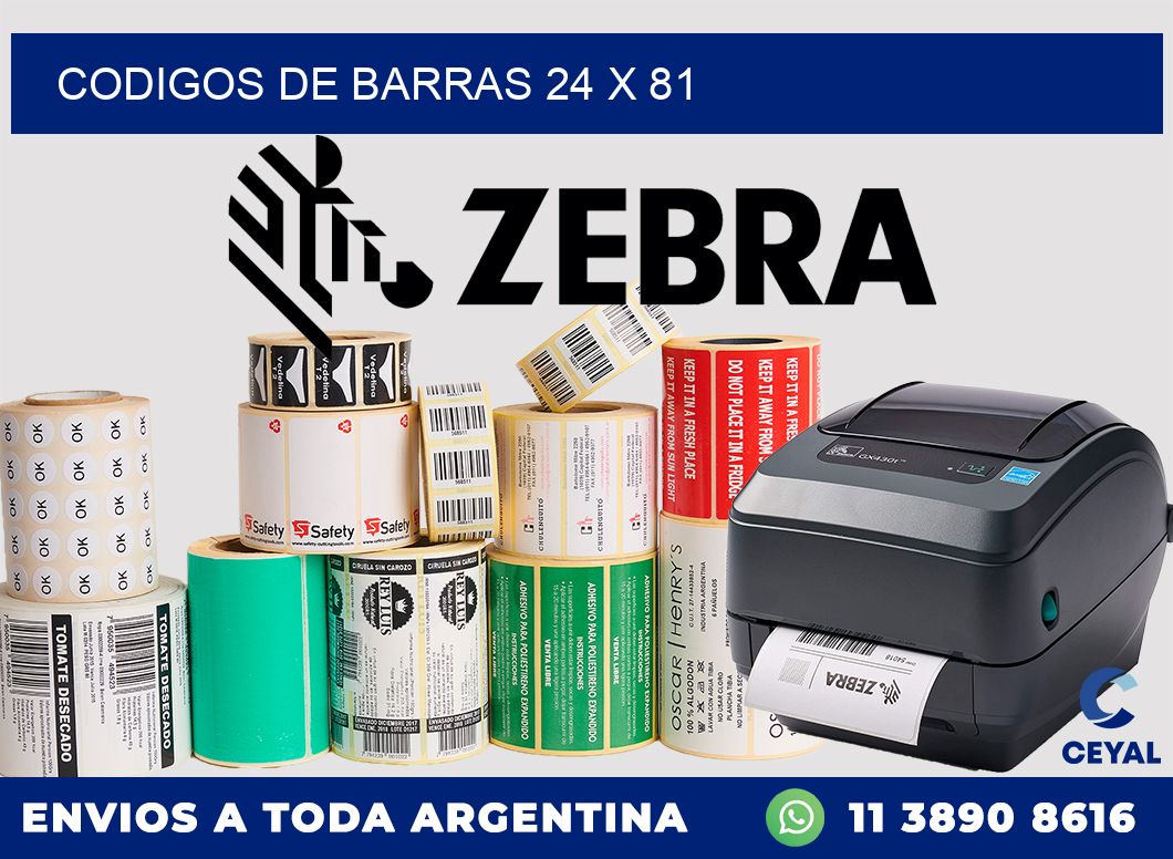 codigos de barras 24 x 81
