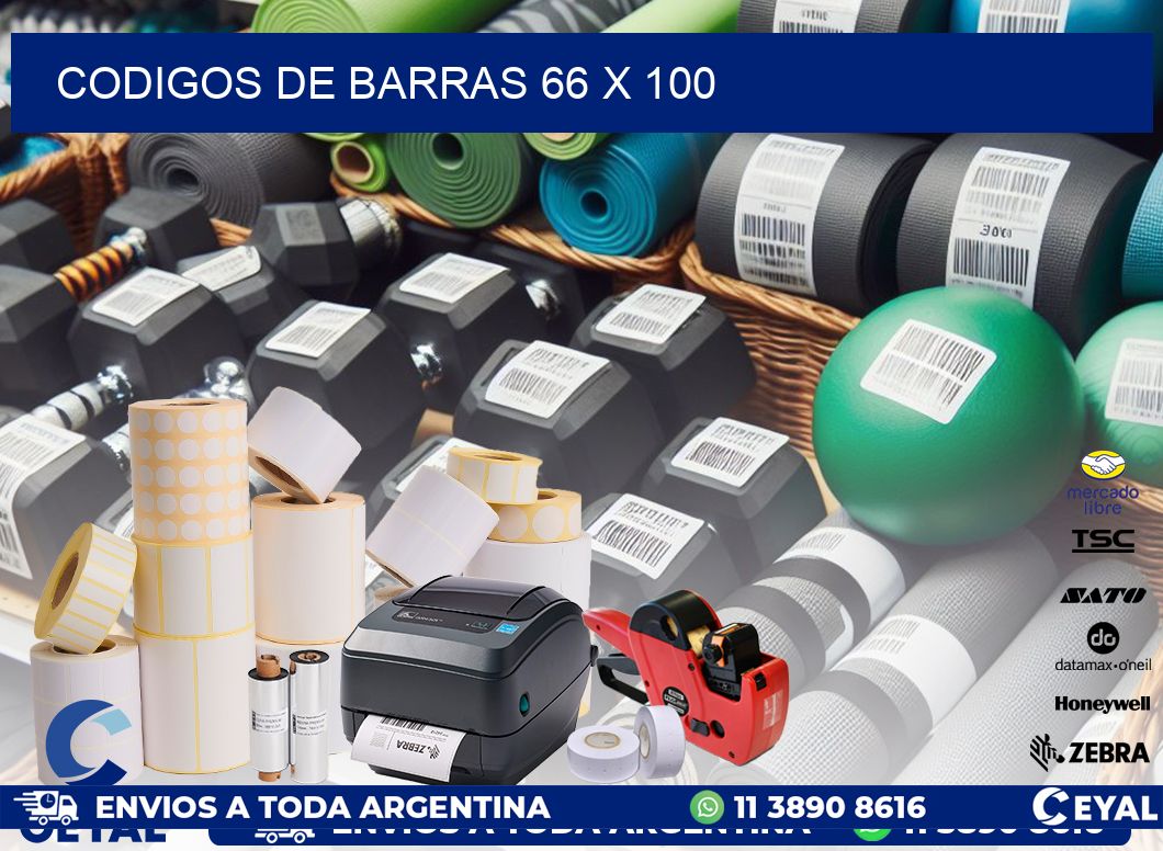 codigos de barras 66 x 100