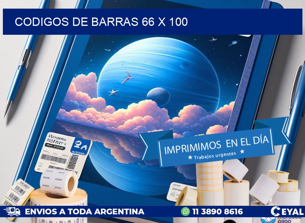 codigos de barras 66 x 100