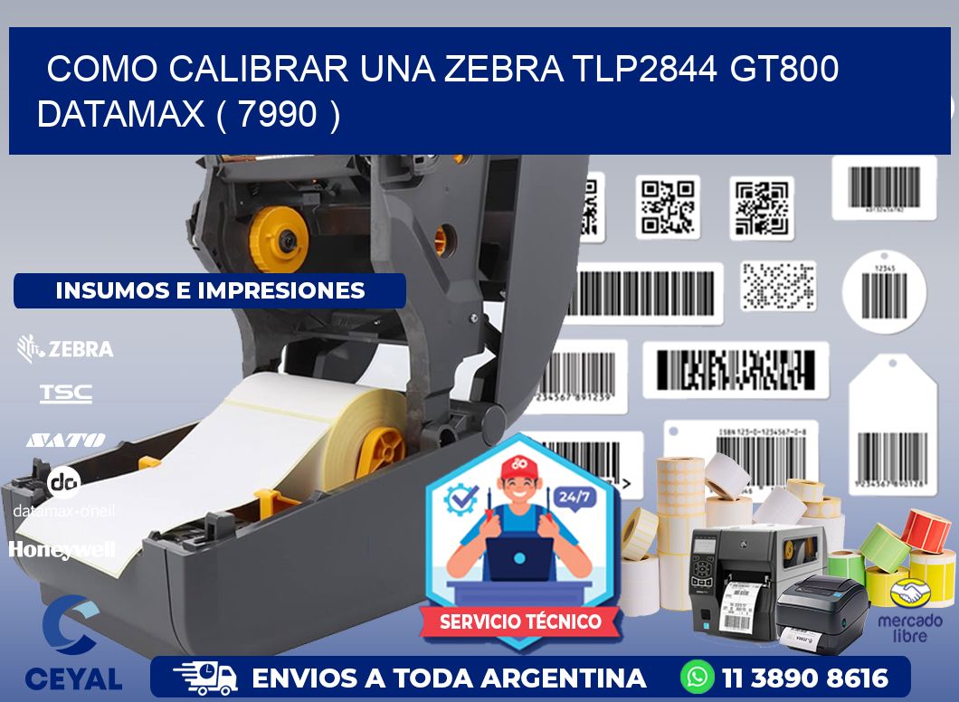 COMO CALIBRAR UNA ZEBRA TLP2844 GT800 DATAMAX ( 7990 )