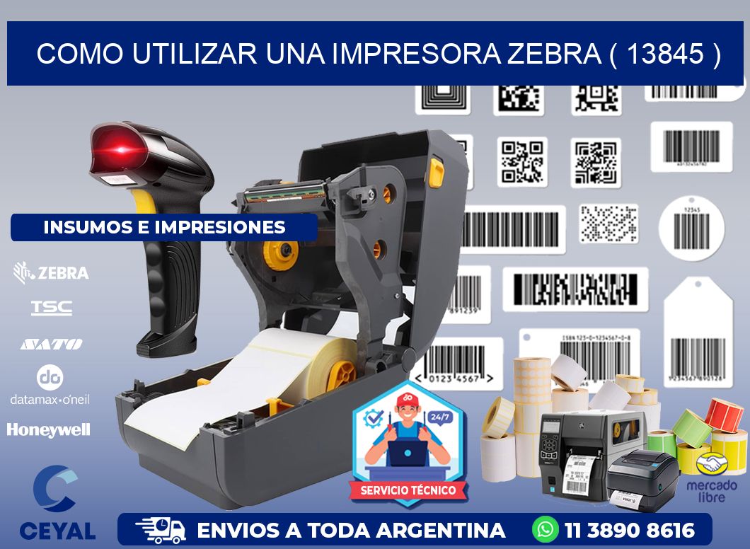 COMO UTILIZAR UNA IMPRESORA ZEBRA ( 13845 )
