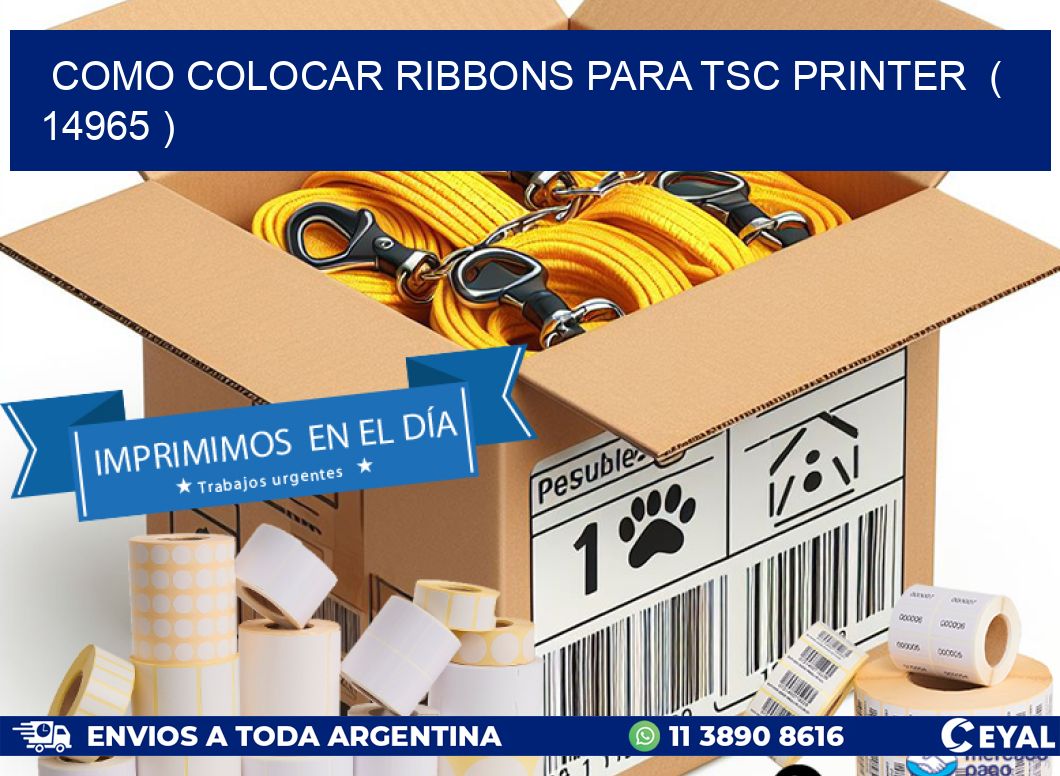 COMO COLOCAR RIBBONS PARA TSC PRINTER  ( 14965 )