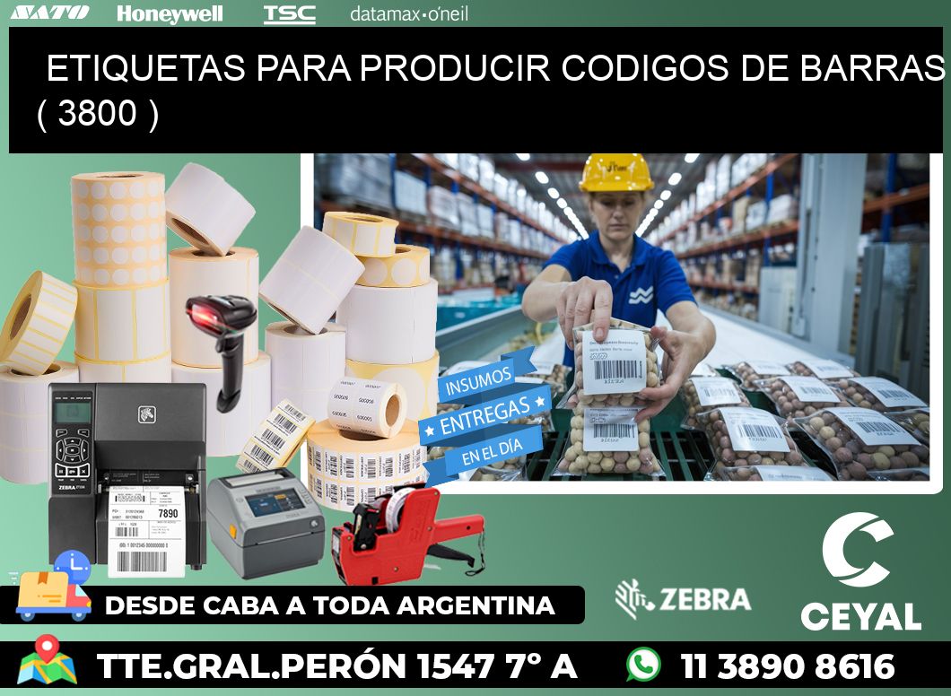 ETIQUETAS PARA PRODUCIR CODIGOS DE BARRAS ( 3800 )