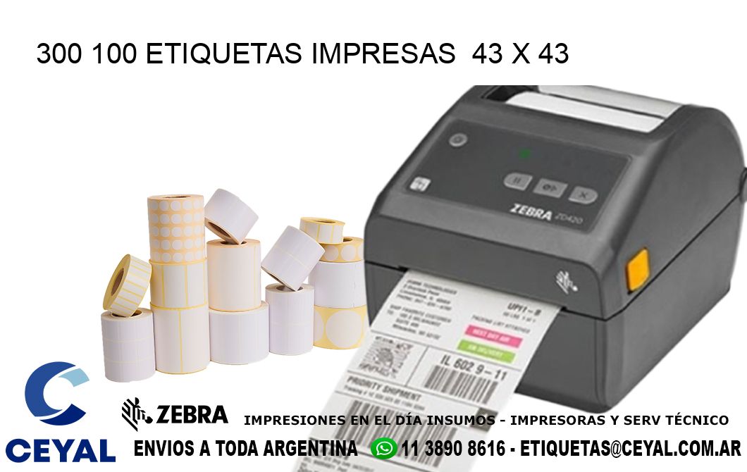 300 100 ETIQUETAS IMPRESAS  43 x 43