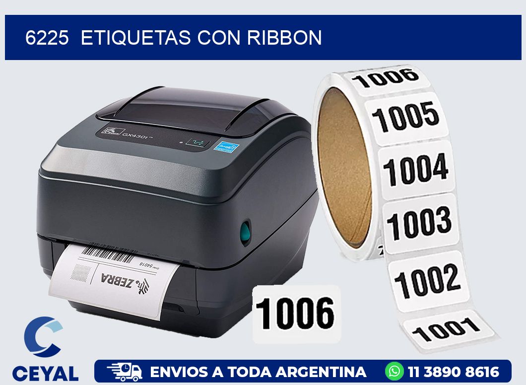 6225  ETIQUETAS CON RIBBON