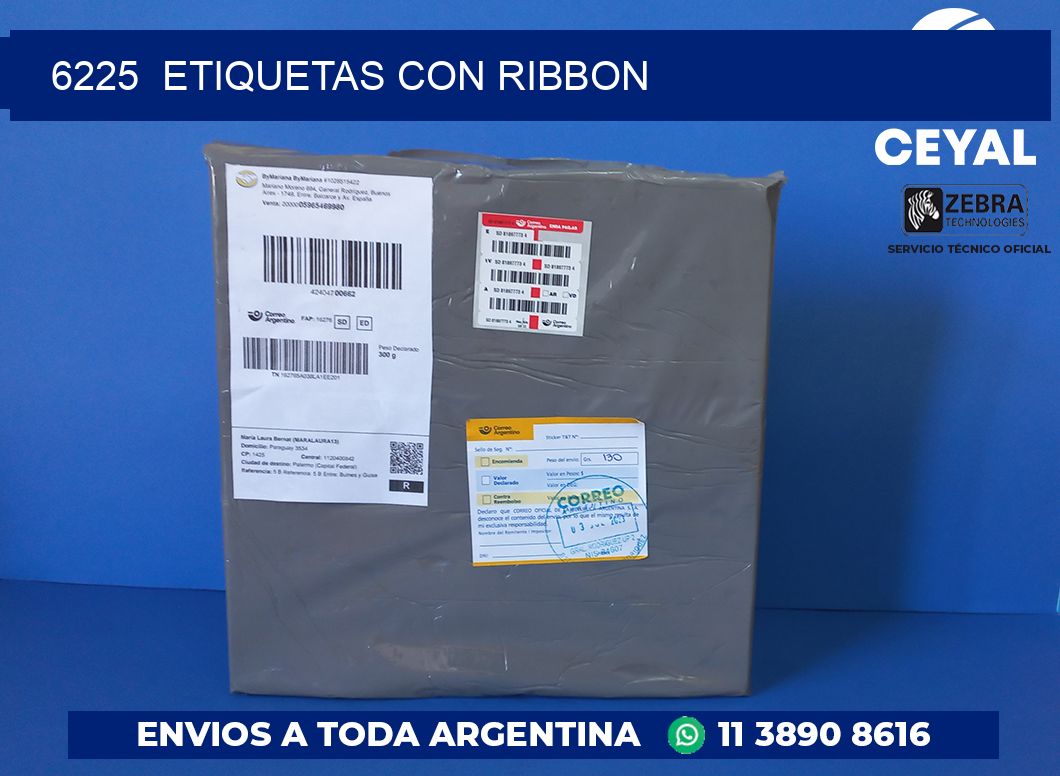 6225  ETIQUETAS CON RIBBON