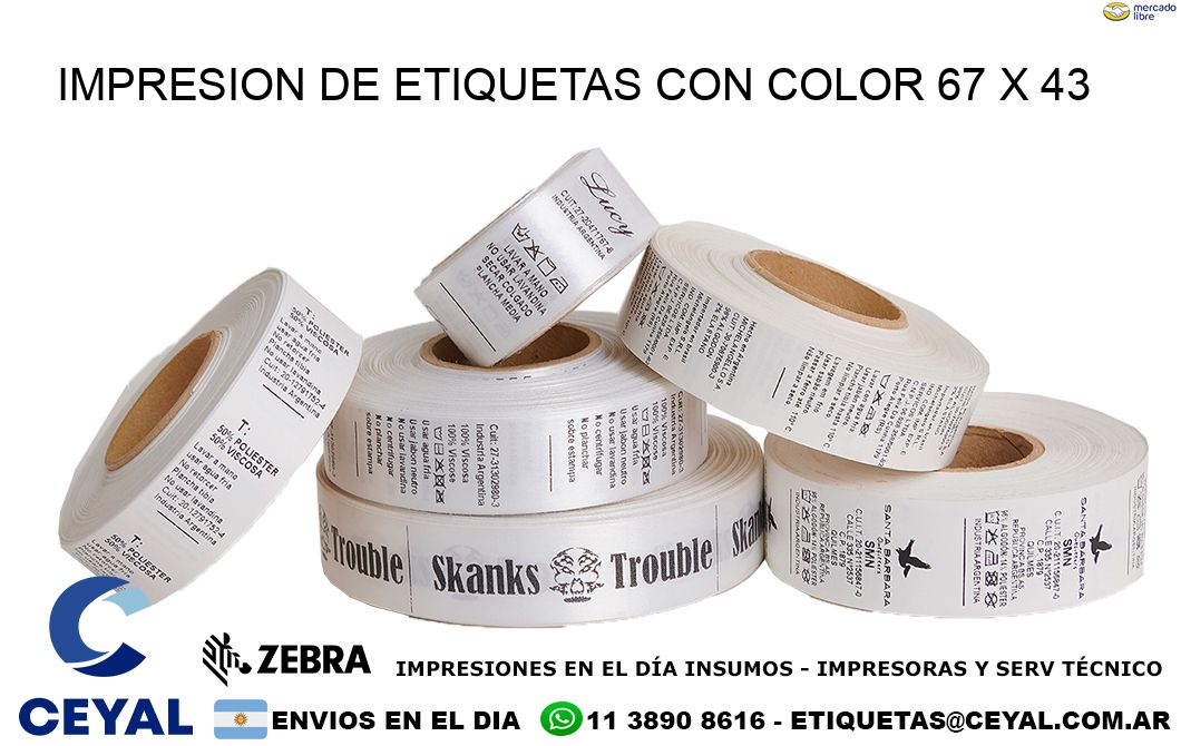 IMPRESION DE ETIQUETAS CON COLOR 67 x 43