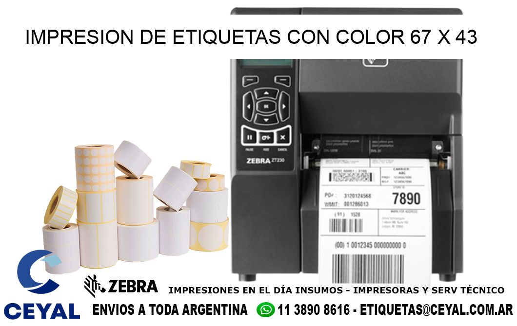 IMPRESION DE ETIQUETAS CON COLOR 67 x 43