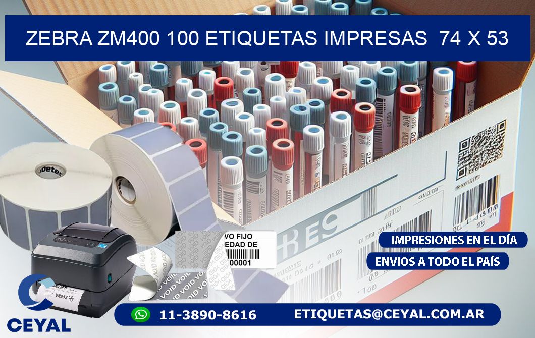 ZEBRA ZM400 100 ETIQUETAS IMPRESAS  74 x 53