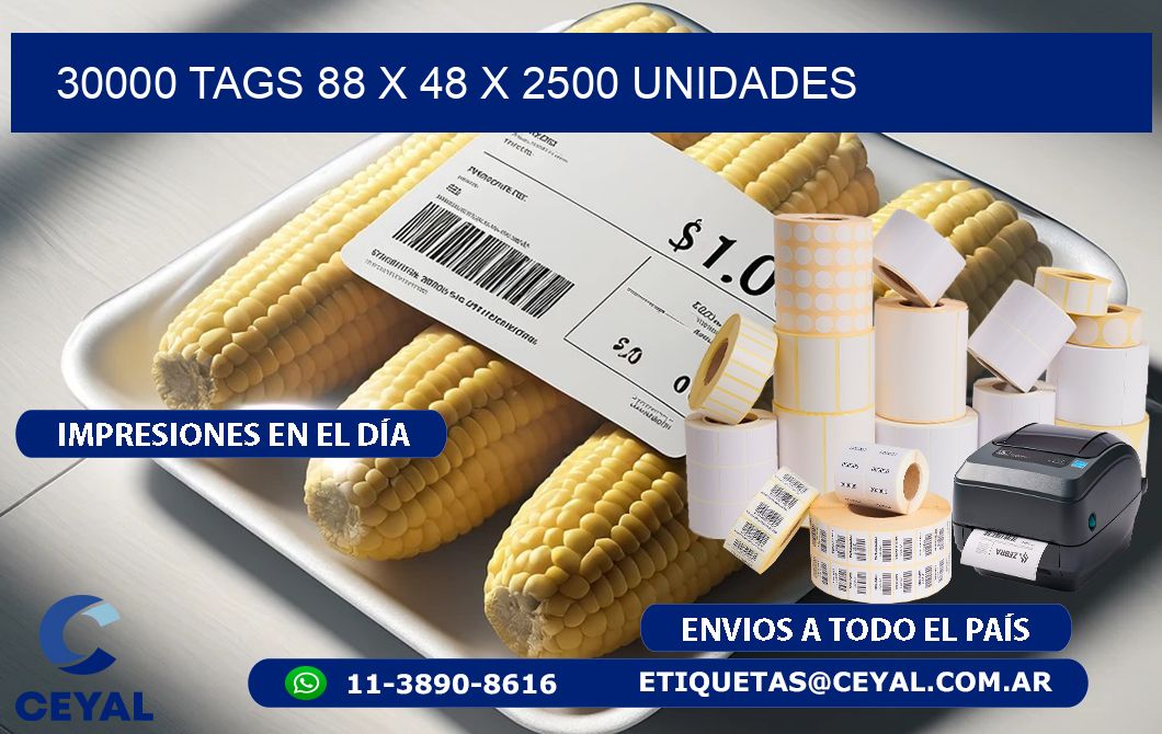 30000 TAGS 88 x 48 X 2500 UNIDADES