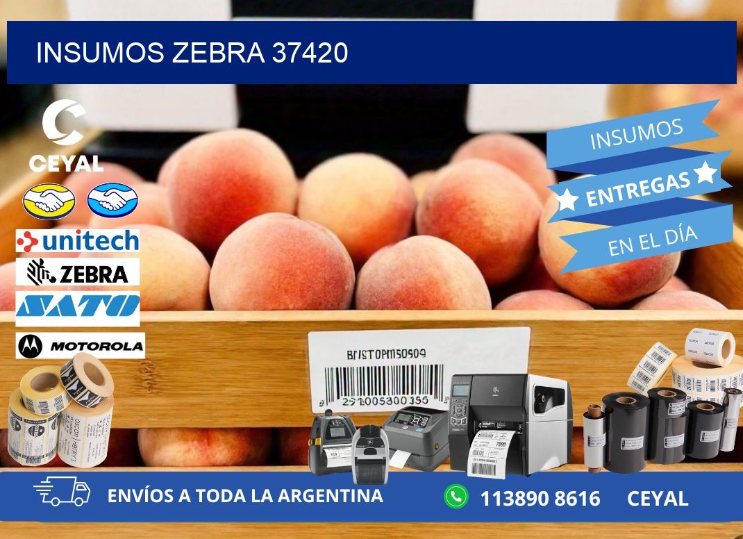 INSUMOS ZEBRA 37420