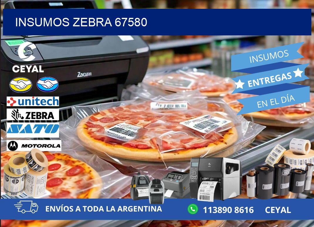 INSUMOS ZEBRA 67580