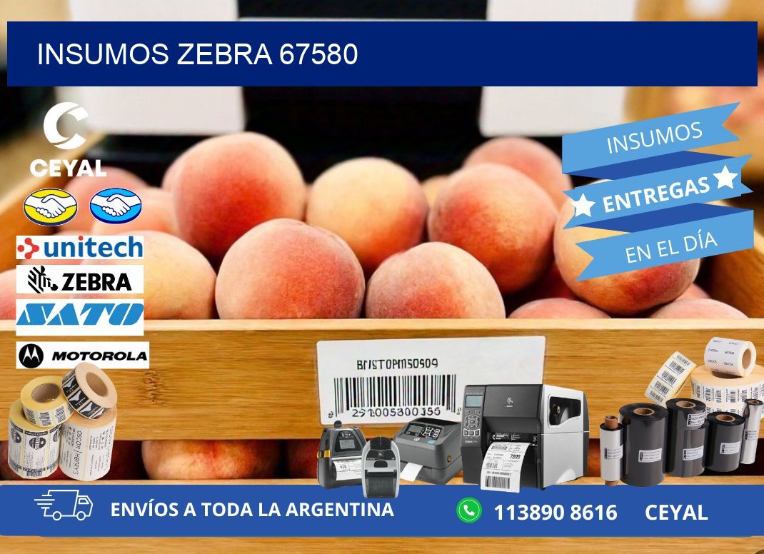 INSUMOS ZEBRA 67580