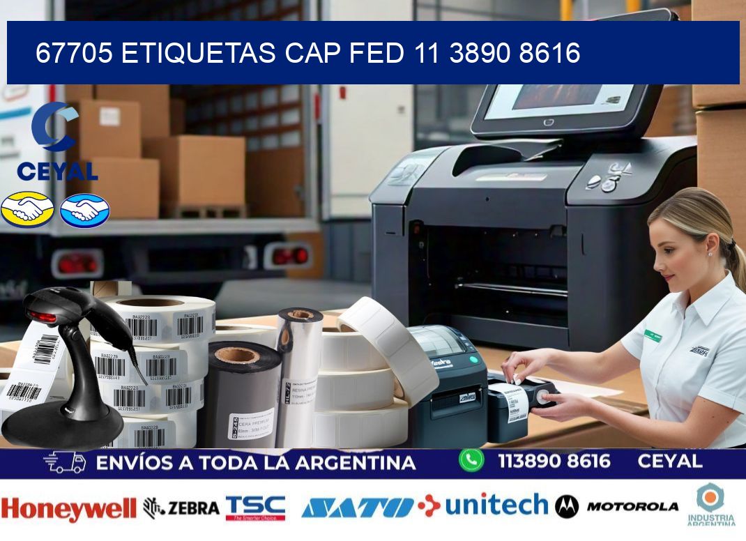 67705 ETIQUETAS CAP FED 11 3890 8616