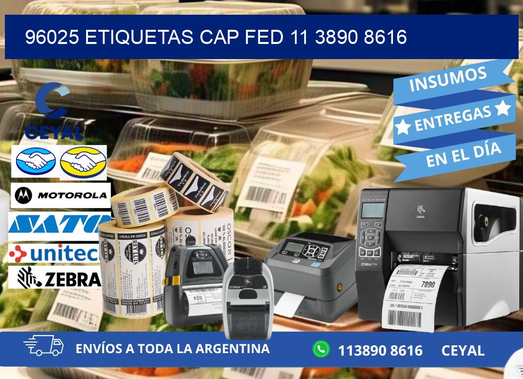 96025 ETIQUETAS CAP FED 11 3890 8616