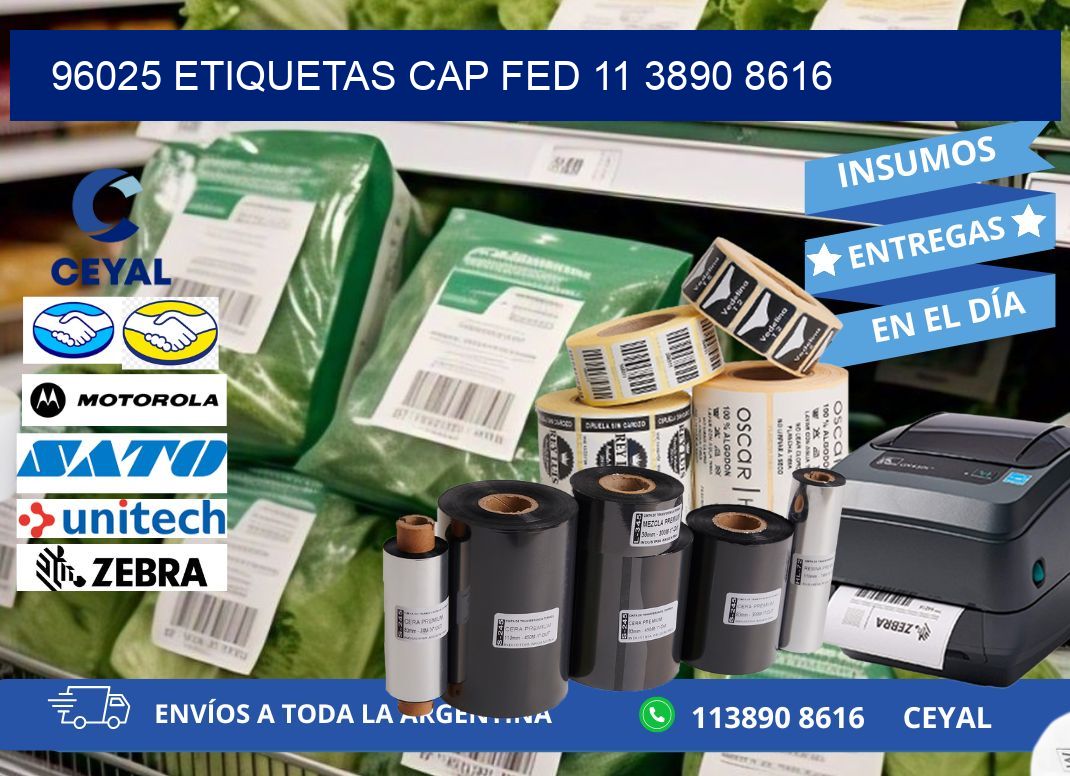 96025 ETIQUETAS CAP FED 11 3890 8616