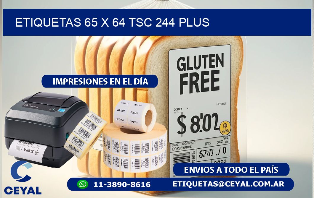 ETIQUETAS 65 x 64 TSC 244 PLUS