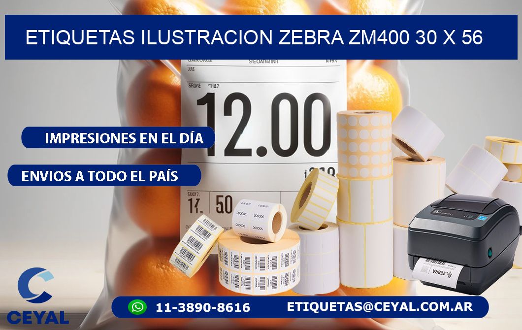 ETIQUETAS ILUSTRACION ZEBRA ZM400 30 x 56