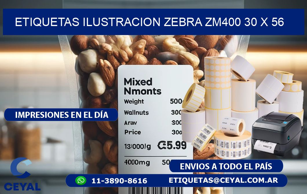 ETIQUETAS ILUSTRACION ZEBRA ZM400 30 x 56