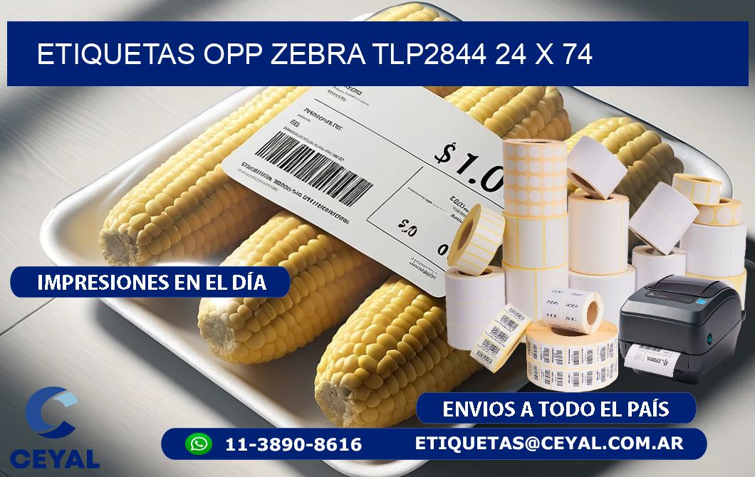 ETIQUETAS OPP ZEBRA TLP2844 24 x 74