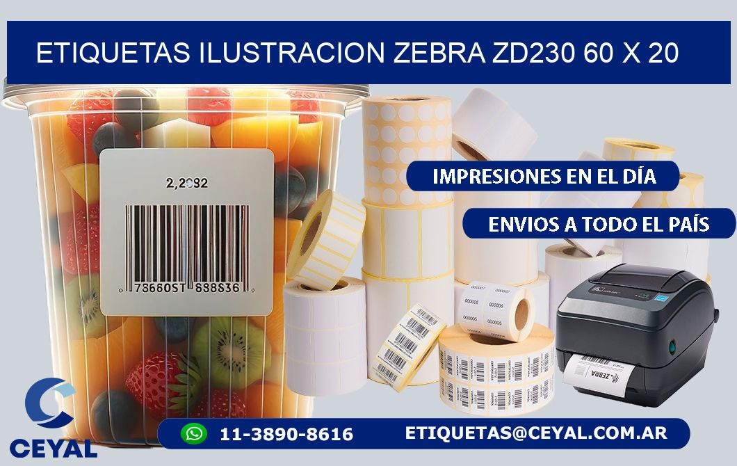 ETIQUETAS ILUSTRACION ZEBRA ZD230 60 x 20