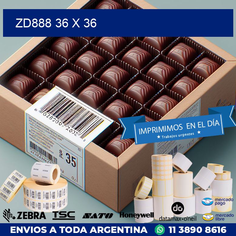 ZD888 36 x 36
