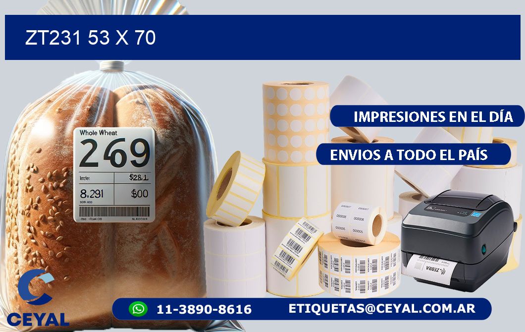 ZT231 53 x 70