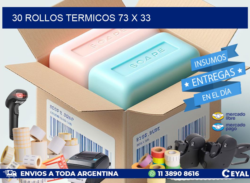 30 ROLLOS TERMICOS 73 x 33