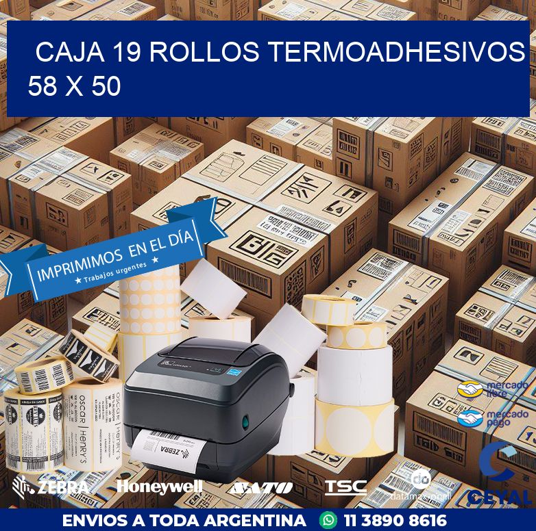 CAJA 19 ROLLOS TERMOADHESIVOS 58 x 50
