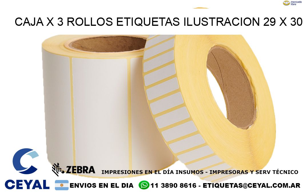 Caja X 3 Rollos Etiquetas Ilustracion 29 x 30