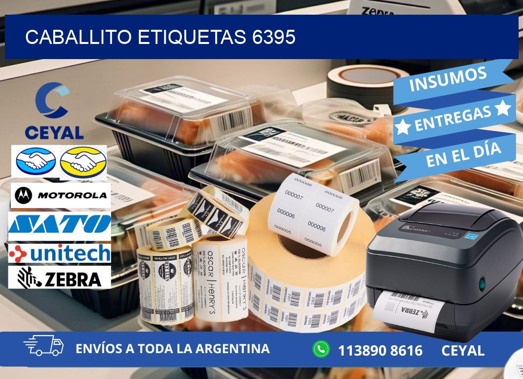Caballito etiquetas 6395
