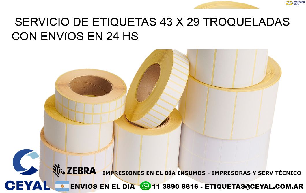 Servicio de etiquetas 43 x 29 troqueladas con envíos en 24 hs