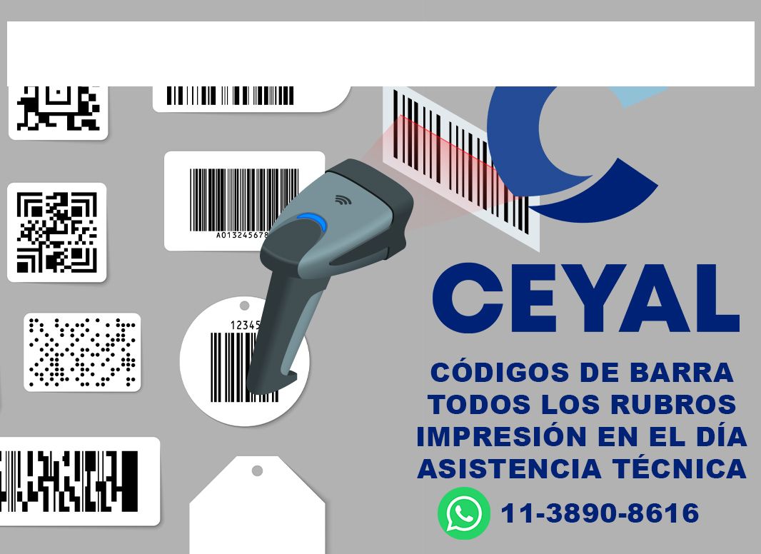 11725 Zebra ZD421 manual PDF