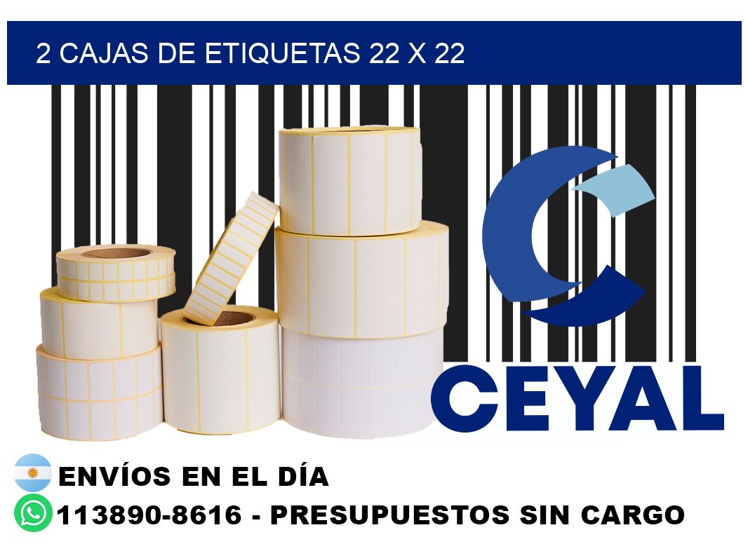 2 cajas de etiquetas 22 x 22