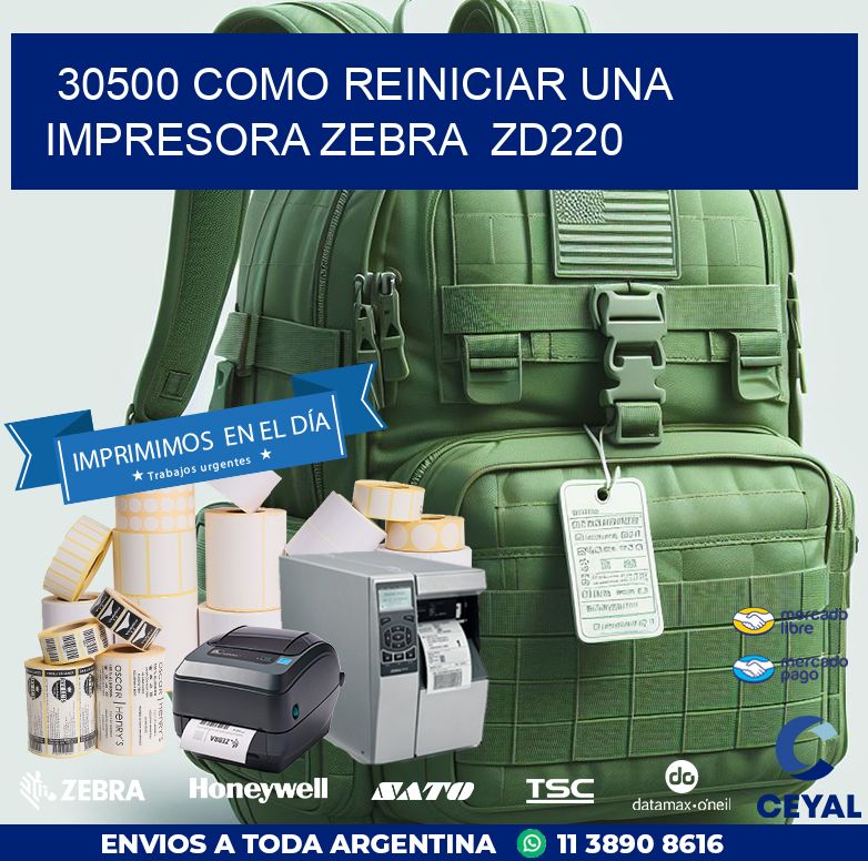 30500 Como reiniciar una impresora Zebra  ZD220