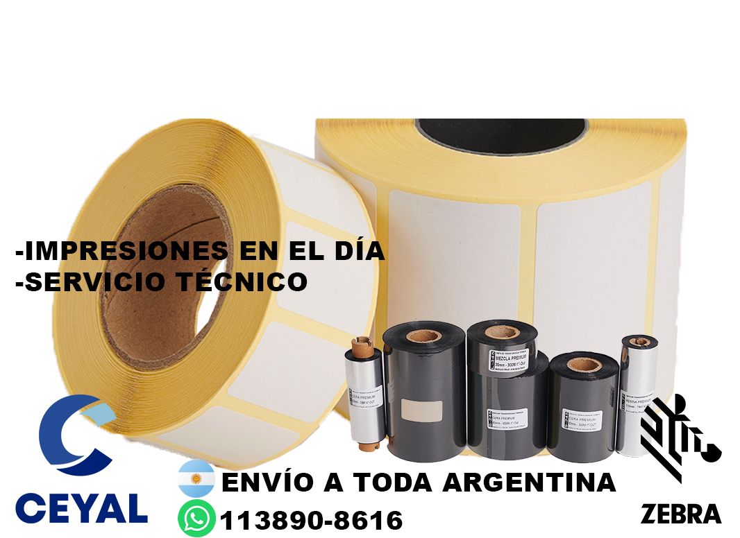 30500 Como reiniciar una impresora Zebra  ZD220