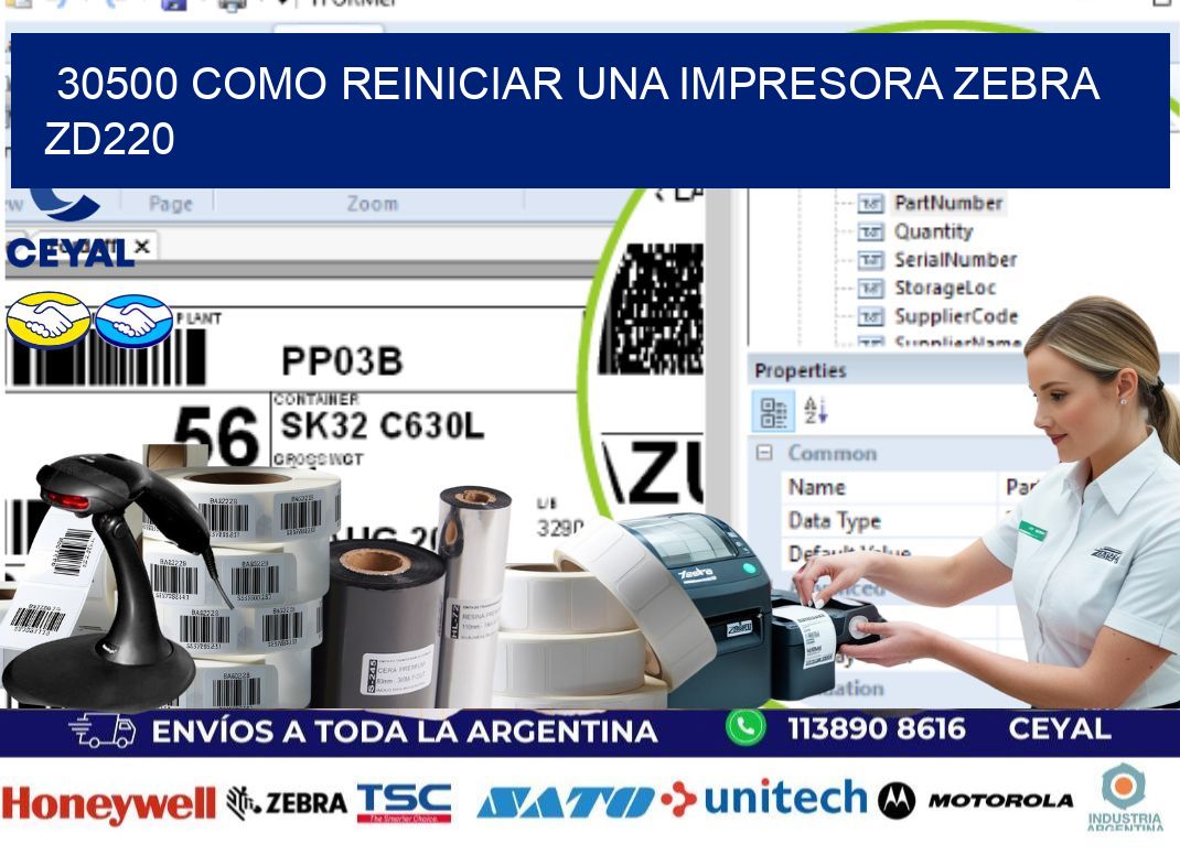 30500 Como reiniciar una impresora Zebra  ZD220