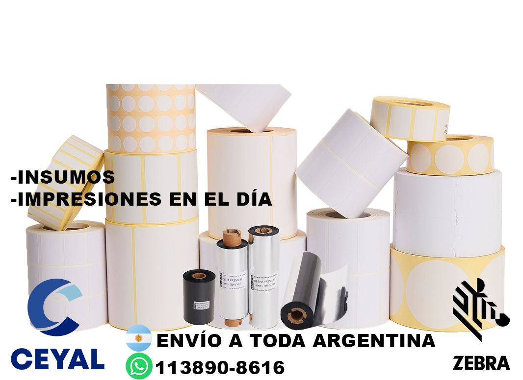 31010 Descargar Zebra Designer Pro gratis en Español