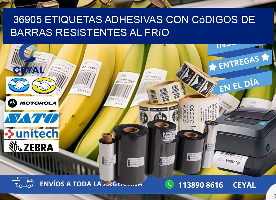 36905 Etiquetas adhesivas con códigos de barras resistentes al frío