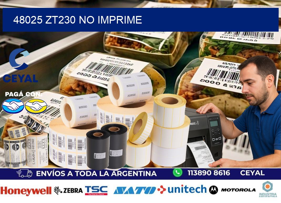 48025 ZT230 no imprime