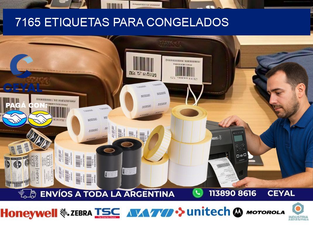 7165 Etiquetas para congelados
