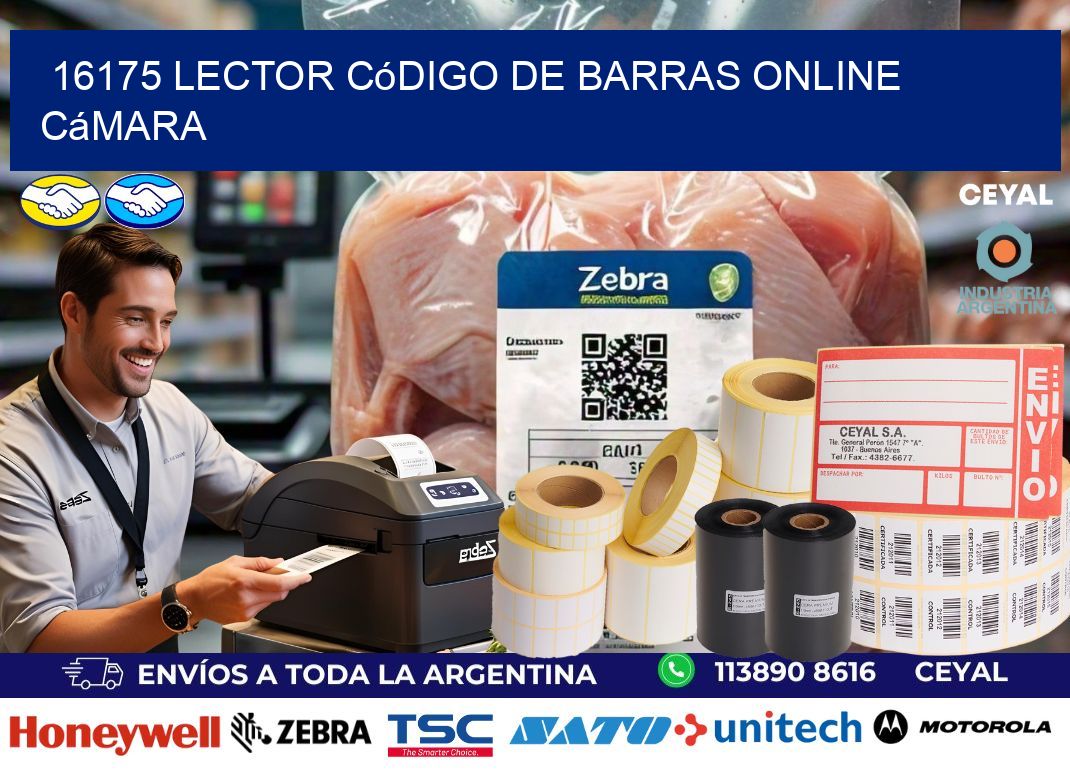 16175 Lector código de barras online cámara