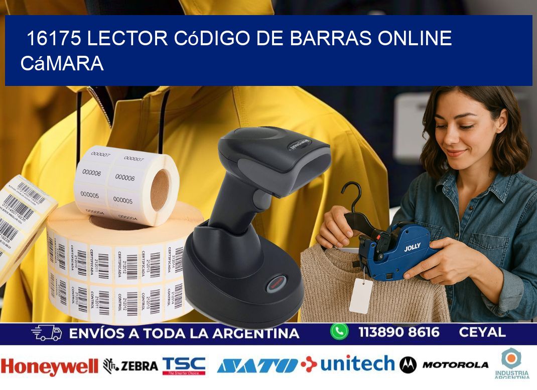 16175 Lector código de barras online cámara
