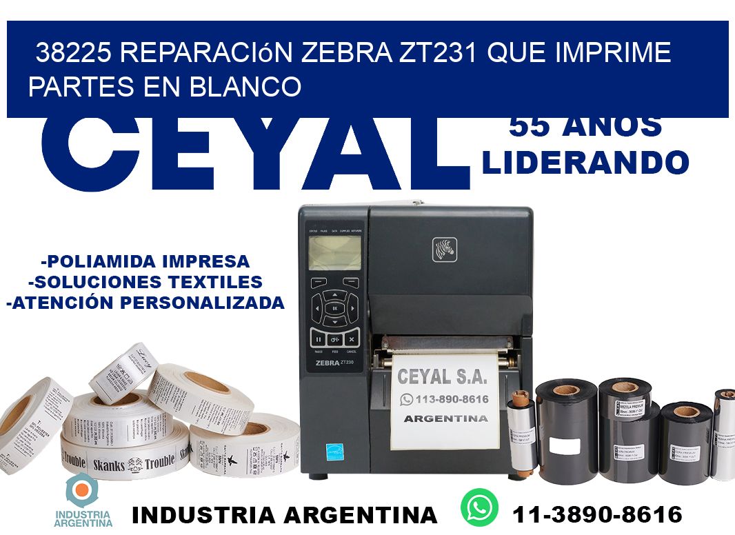 38225 reparación zebra zt231 que imprime partes en blanco