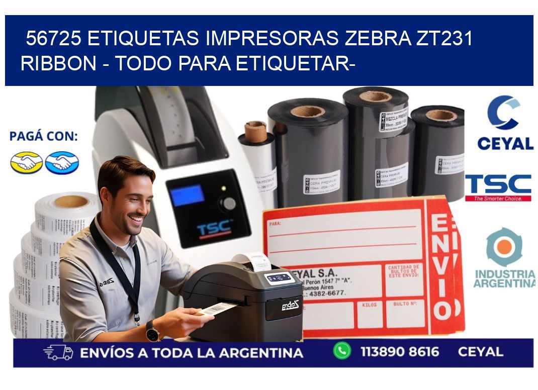 56725 etiquetas impresoras zebra zt231 ribbon – Todo para Etiquetar-