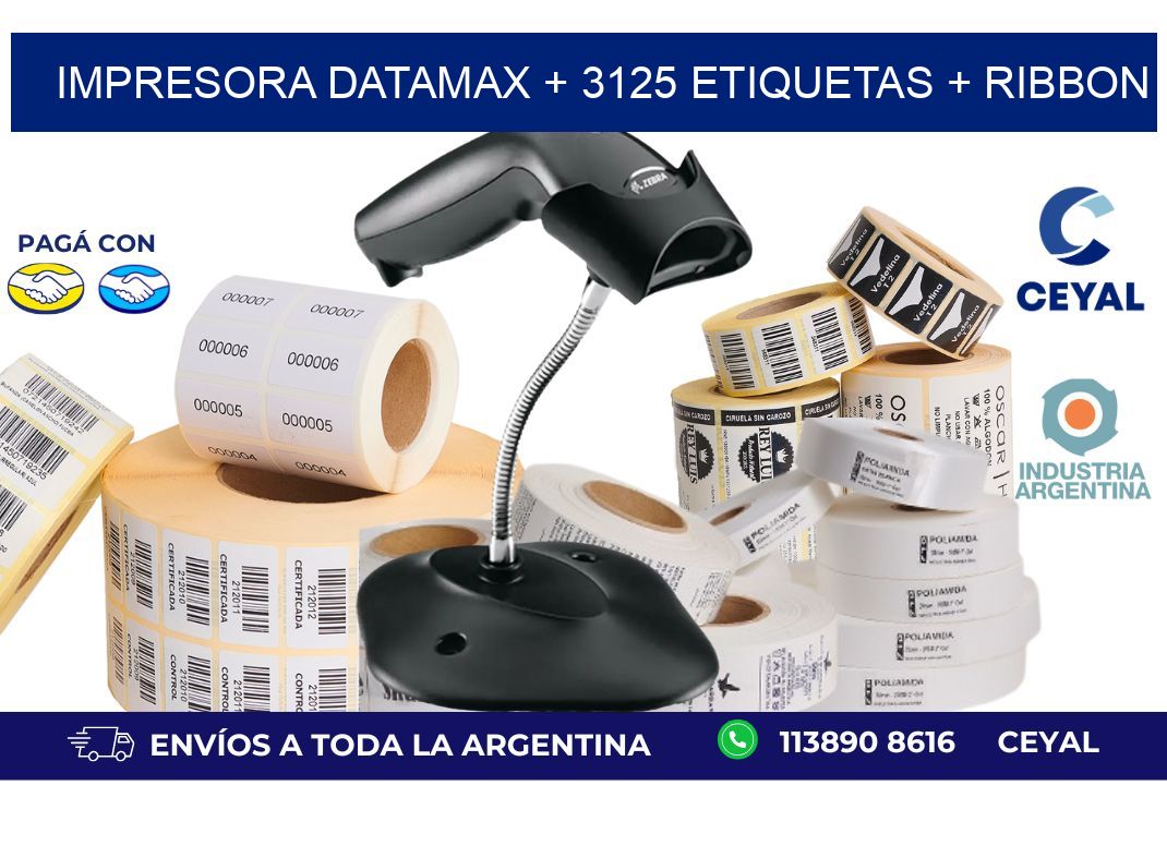 impresora DATAMAX + 3125 etiquetas + ribbon