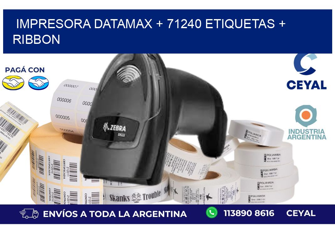 impresora DATAMAX + 71240 etiquetas + ribbon