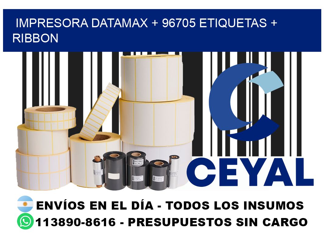impresora DATAMAX + 96705 etiquetas + ribbon