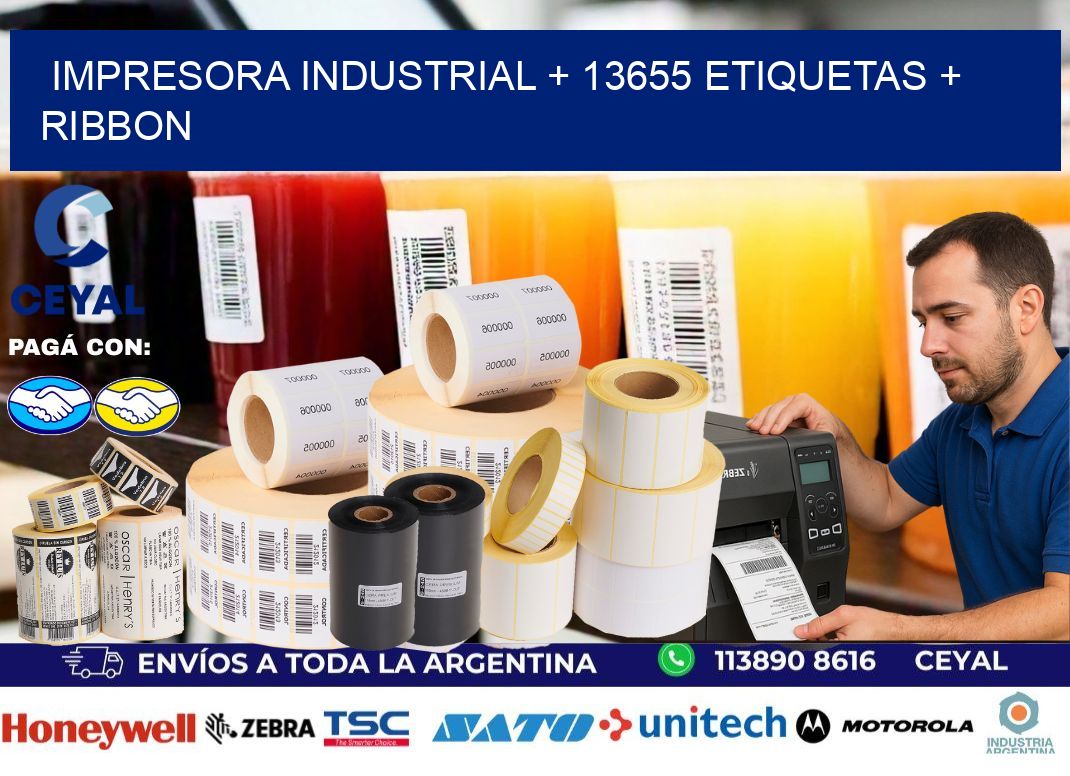 impresora industrial + 13655 etiquetas + ribbon